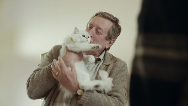 Cuckoo - Grandfather's Cat