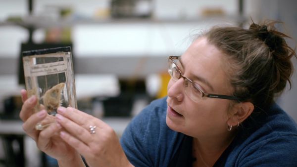 Natural History Museum: World of Wonder - Episode 1