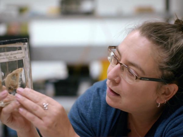 Natural History Museum: World of Wonder - Episode 1