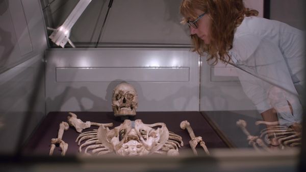 Natural History Museum: World of Wonder - Episode 2