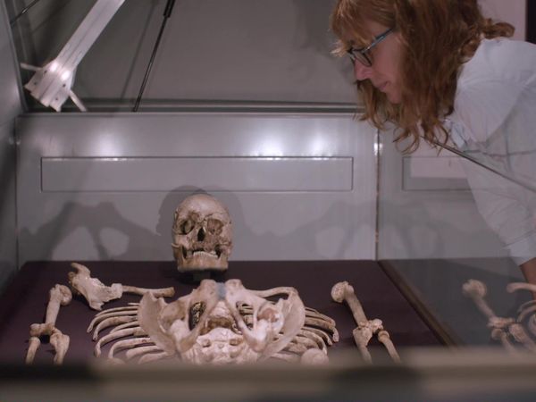 Natural History Museum: World of Wonder - Episode 2