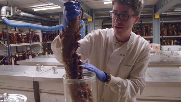 Natural History Museum: World of Wonder - Episode 3
