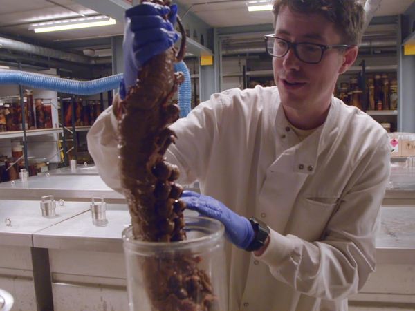 Natural History Museum: World of Wonder - Episode 3