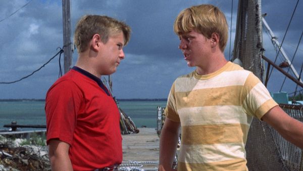 Flipper - Bud und seine Freunde