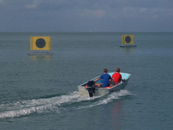 Flipper - In höchster Gefahr (2)