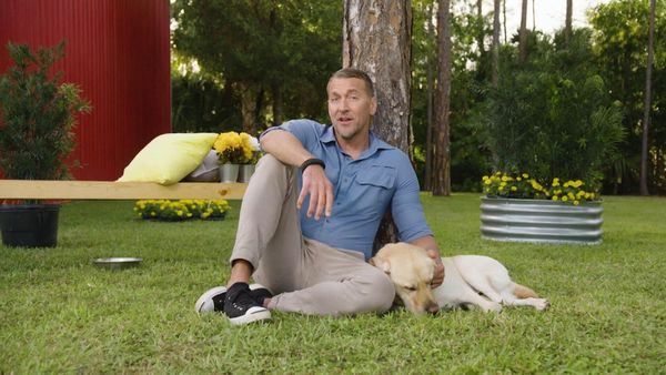 Lucky Dog: Down Under - Emotional Support Dogs