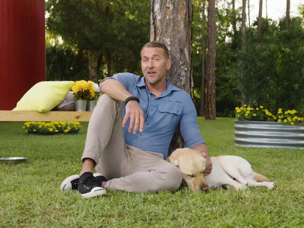 Lucky Dog: Down Under - Emotional Support Dogs