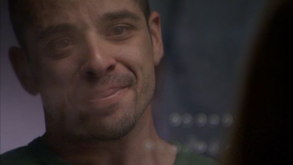 Underbelly - Dog Eat Dog