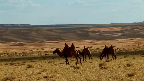 Milagros de la naturaleza - Episodio 7