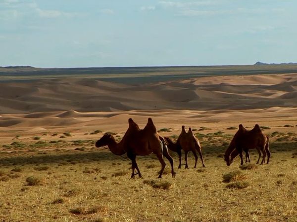 Milagros de la naturaleza - Episodio 7