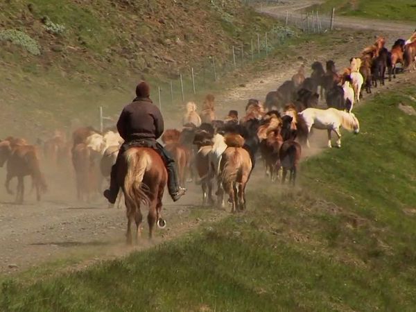 Milagros de la naturaleza - Episodio 9