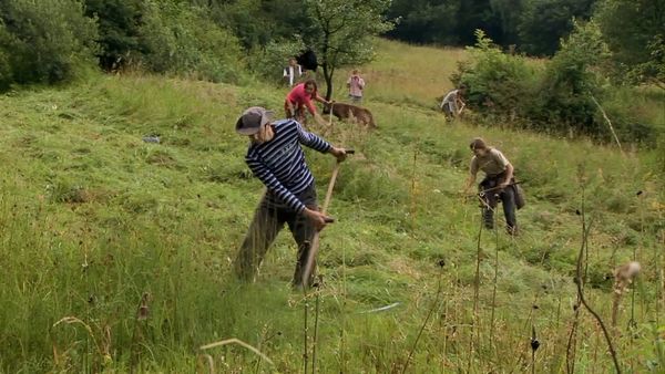 Milagros de la naturaleza - Episodio 12