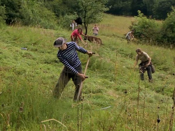 Milagros de la naturaleza - Episodio 12