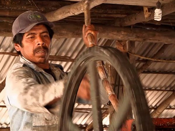 Milagros de la naturaleza - Episodio 4