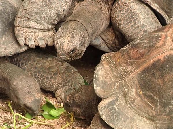 Milagros de la naturaleza - Episodio 6