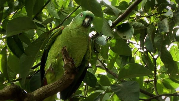 Milagros de la naturaleza - Episodio 7