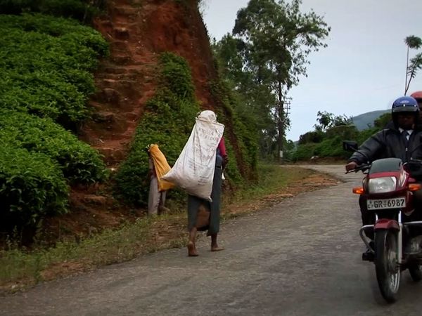 Milagros de la naturaleza - Episodio 12
