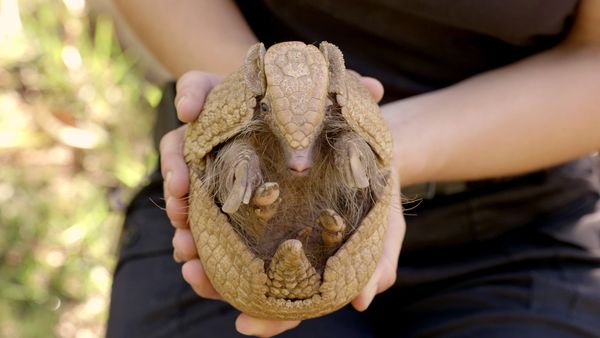 Wild World - Episodio 1