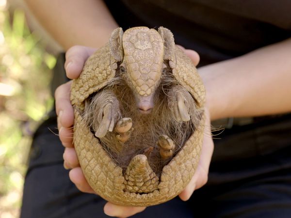 Wild World - Episodio 1