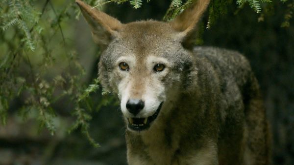 Wild World - Episodio 20