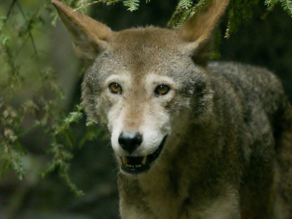 Wild World - Episodio 20