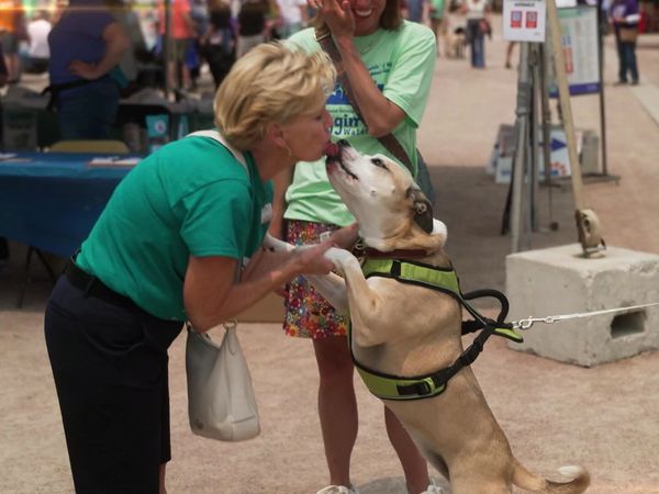 Lucky Dog Reunions - Caught in the Act