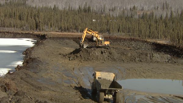 Yukon Gold - No Deaths, No Worries