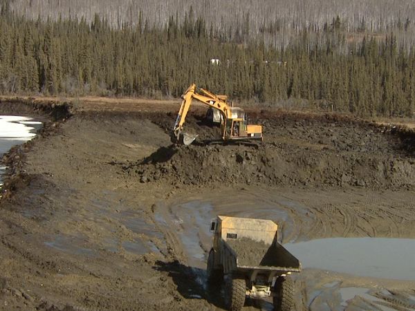 Yukon Gold - No Deaths, No Worries