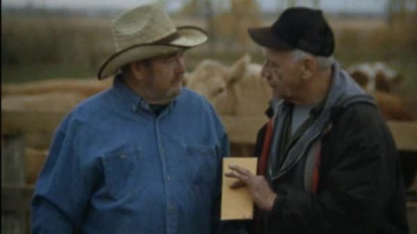 Crime Stories - The Elderly Executioners