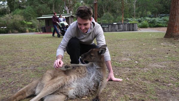 LazarBeam - Playing with Insane Animals / Can I Score a Goal in a 1-vs.-4 Rocket League Match?