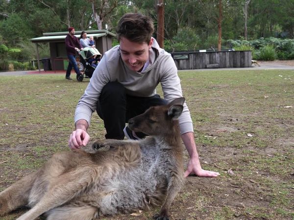 LazarBeam - Playing with Insane Animals / Can I Score a Goal in a 1-vs.-4 Rocket League Match?