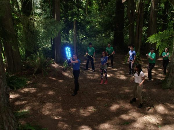 The Librarians - Y el bosque desencantado