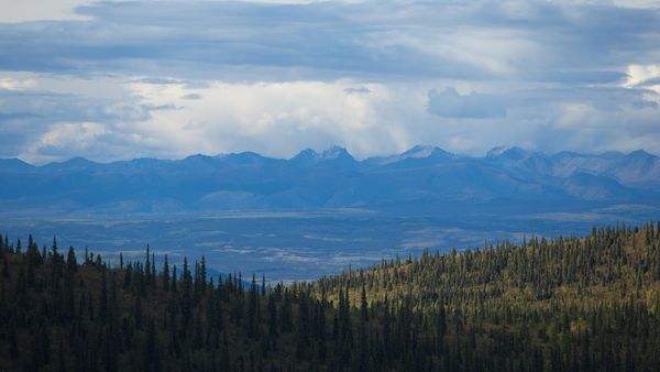 Yukon Gold - Old Timers' Revenge