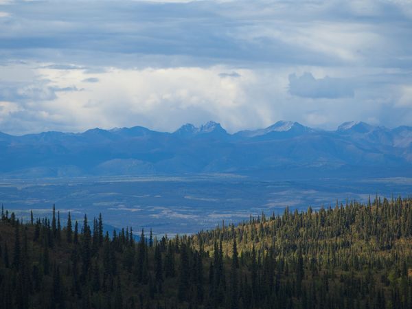 Yukon Gold - Old Timers' Revenge
