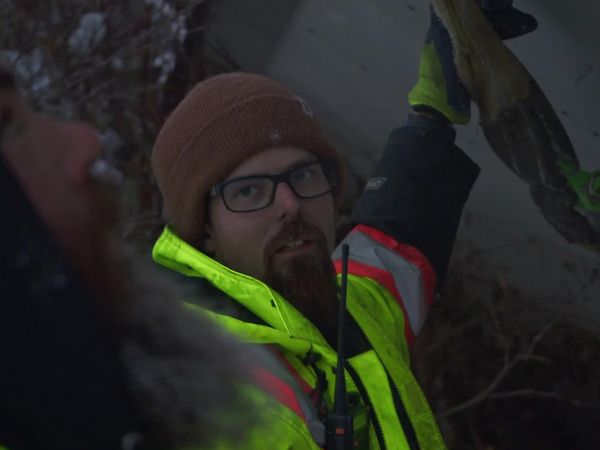 Highway Thru Hell - Brothers In Tow