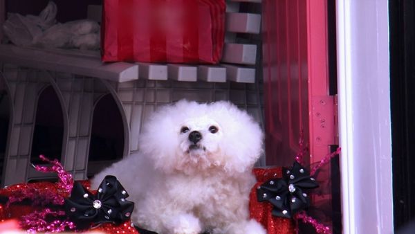 Dance Moms - Episode 339