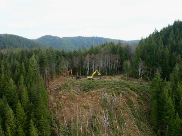 Ax Men - Avsnitt 1004