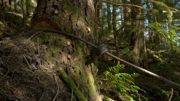 Ax Men - Avsnitt 1005