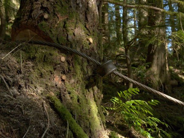 Ax Men - Avsnitt 1005
