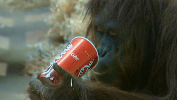 Monkey Business (1998) - Episode 2