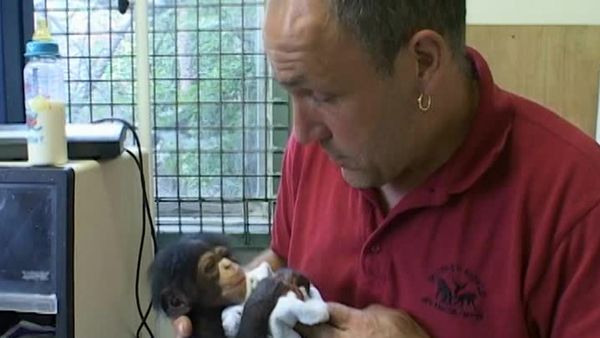Monkey Business (1998) - Episode 11