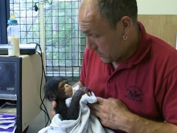 Monkey Business (1998) - Episode 11