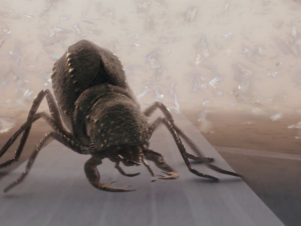 Invasores Primitivos: Mundo Novo - Medo de voar