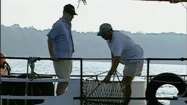 FoodNation With Bobby Flay - Chesapeake Bay, Maryland