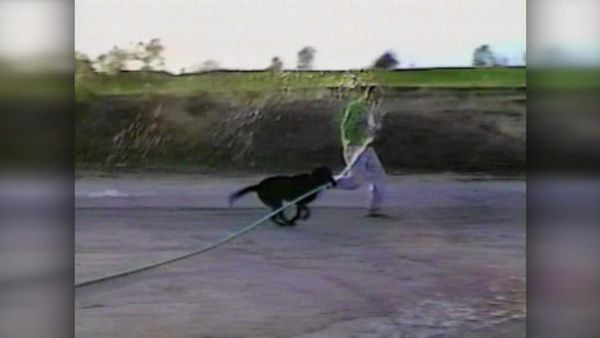 America's Funniest Home Videos - Animal Revenge, Sports Roundup and Birthdays