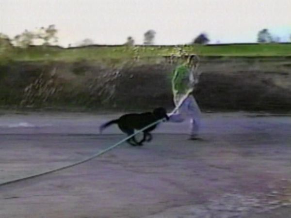 America's Funniest Home Videos - Animal Revenge, Sports Roundup and Birthdays