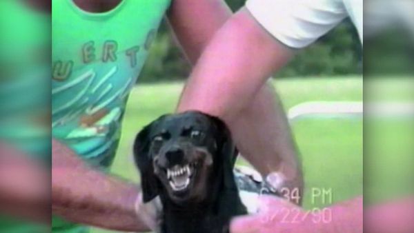 America's Funniest Home Videos - Sports & Hobbies, Animals and $100,000 Grand Final #1