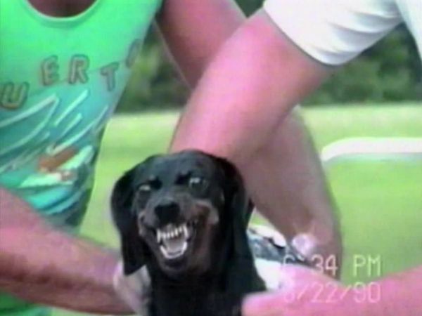 America's Funniest Home Videos - Sports & Hobbies, Animals and $100,000 Grand Final #1