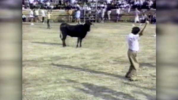 America's Funniest Home Videos - The Pain in Spain, Let's Have Fun and On the Job