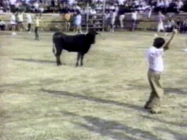 America's Funniest Home Videos - The Pain in Spain, Let's Have Fun and On the Job
